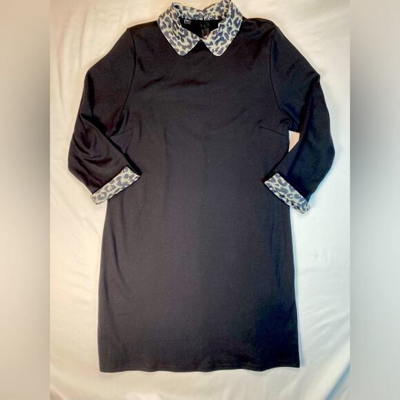 Talbots Shift Dress Leopard Print Collar & Cuffs Classic Mature Cotton XLp - Picture 1 of 8